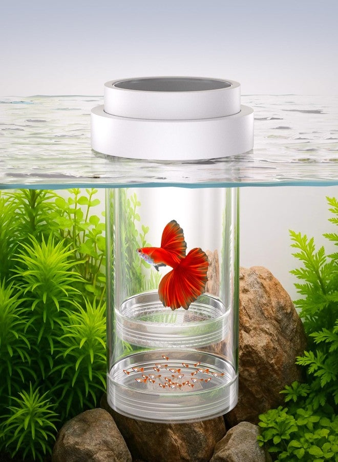 FKSC Floating Breeder Box for Fish Tank - Aquarium Isolation Separator Hatchery Incubator for Guppy, Betta, Clownfish, Coral, Baby & Injured Fish - Image 1